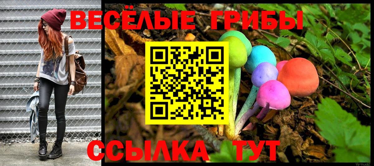 Псилоцибиновые грибы GOLDEN TEACHER  Вход с VPN  как найти   Боровичи 